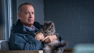 Tom Hanks Filme: Die Top 9 Werke des amerikanischen Hollywoodstars