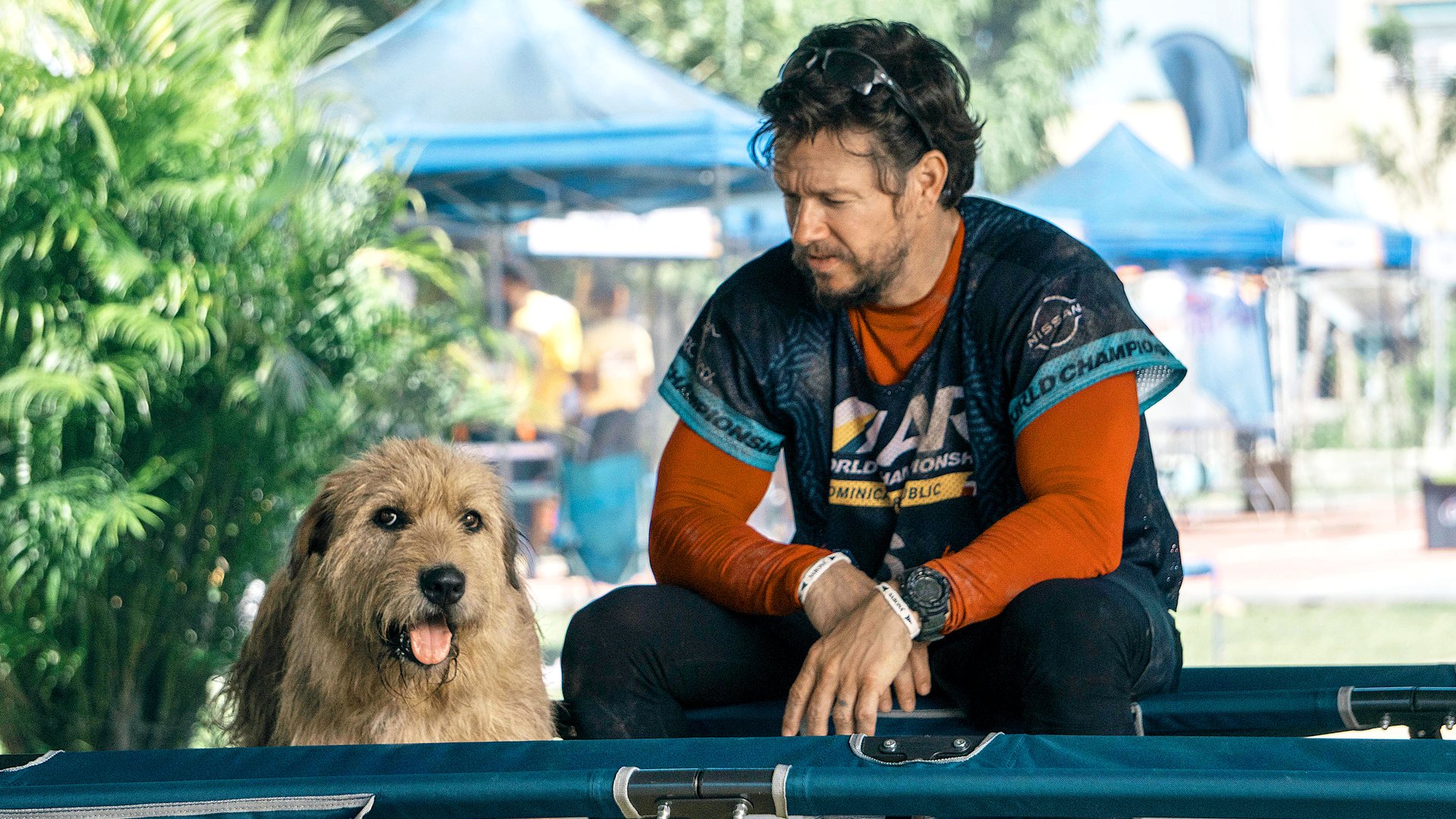 Hundefans-werden-Rotz-Wasser-heulen-Mark-Wahlbergs-bester-Film-seit-Jahren-mit-97-ist-jetzt-auf-Amazon-im-Stream