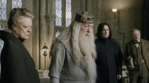 „Von Tag zu Tag schlechter“: Neuer Dumbledore & Hagrid für „Harry Potter“-Serie stoßen auf Kritik