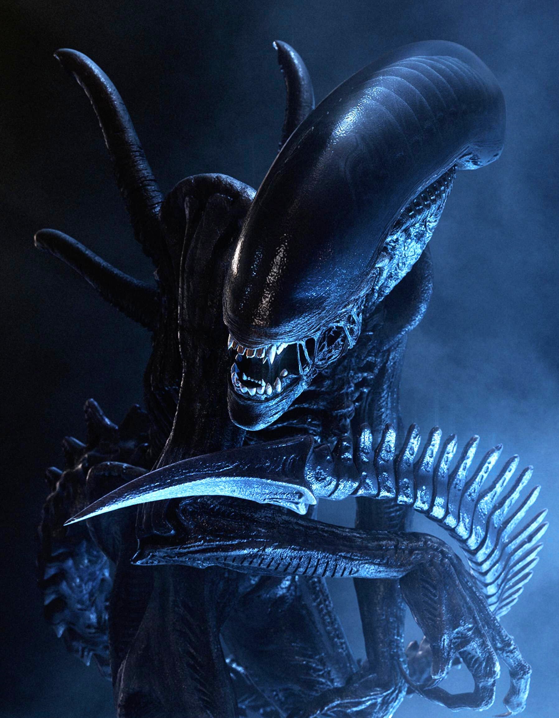 Sci-Fi-Horror „Alien: Romulus 2“ droht der Untergang: Schuld daran hat schon wieder Ridley Scott