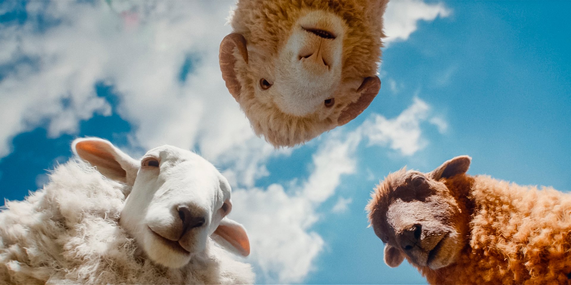 Die 62 besten Filme bei Amazon Prime 2026: Liste mit Empfehlungen nach Genre sortiert