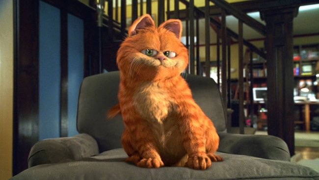 Noch fühlt sich Garfield wohl auf seinem Sessel.