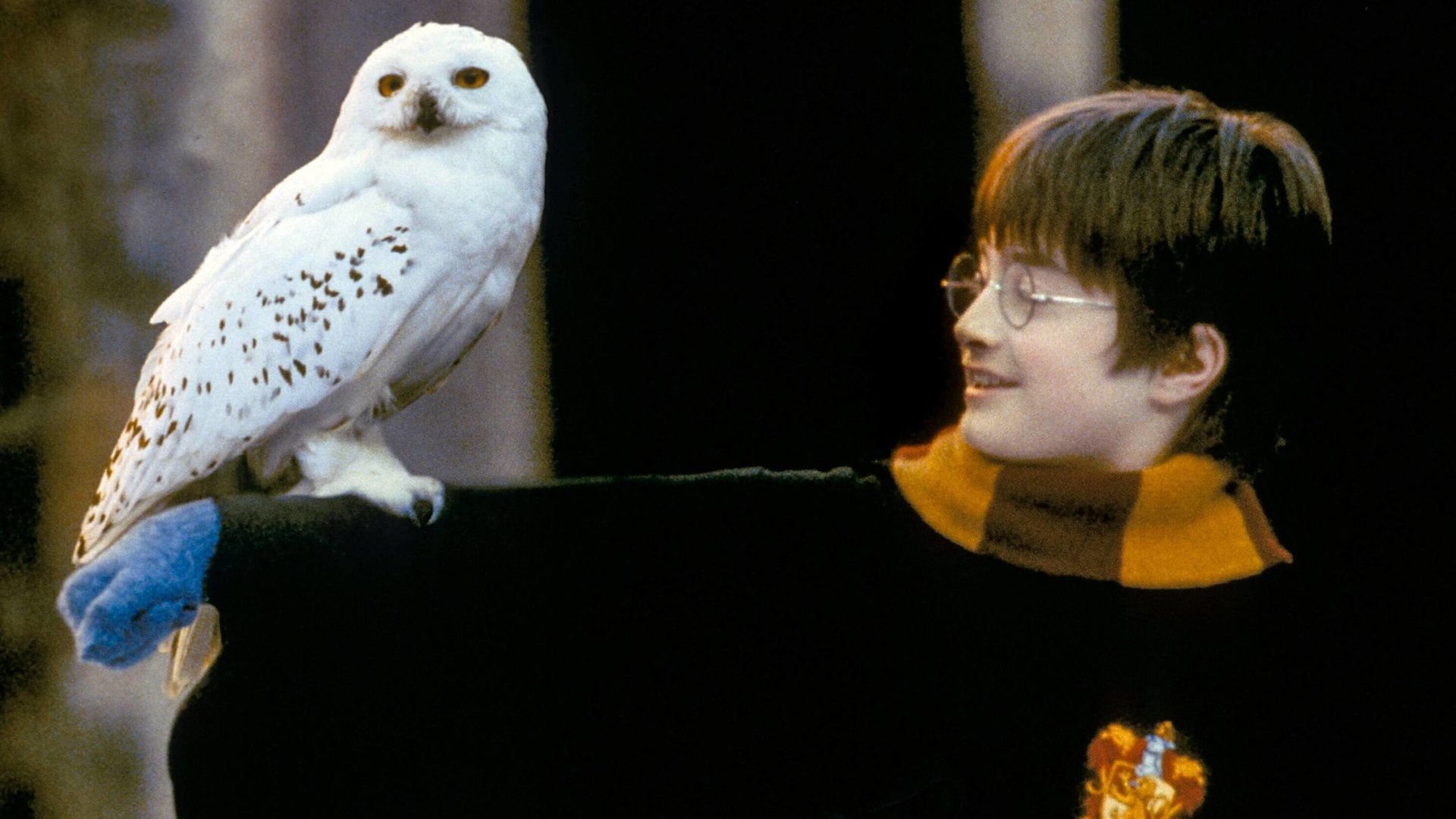 Für echte Potterheads: Diese magische Hedwig-Lampe gehört jetzt auf deinen Nachttisch