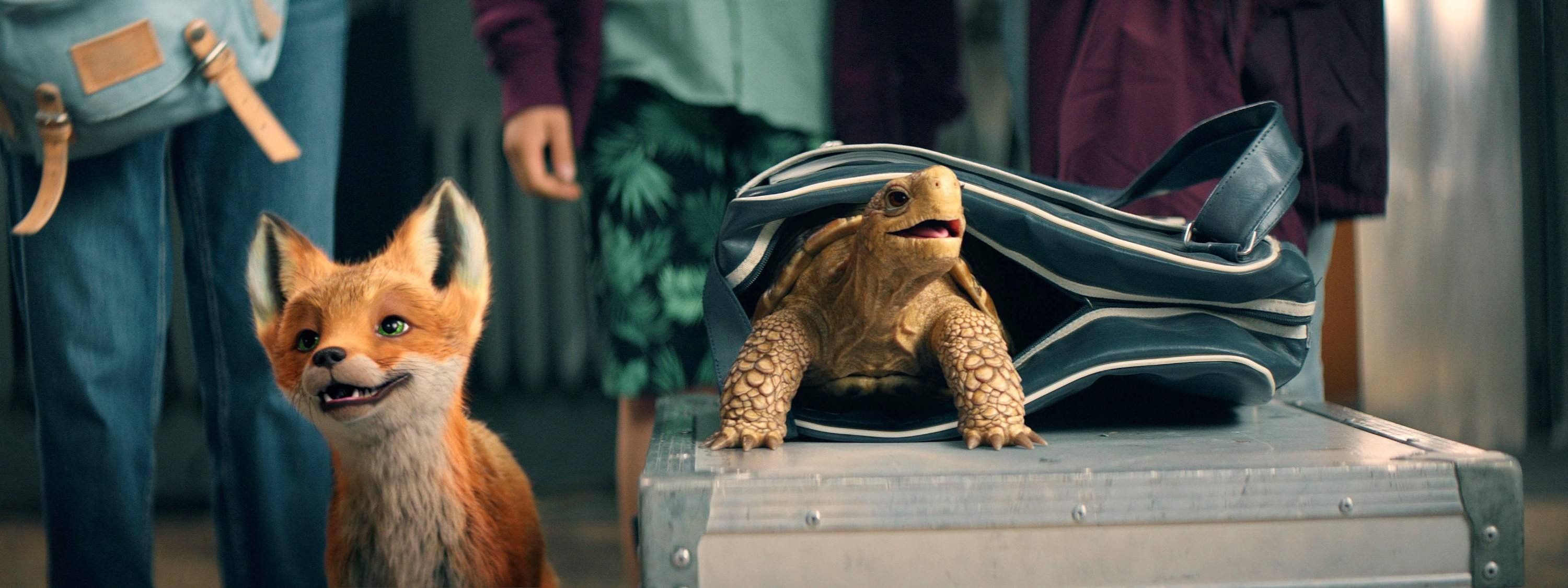 Das Brettspiel zu „Die Schule der magischen Tiere“ ist jetzt bei Amazon reduziert