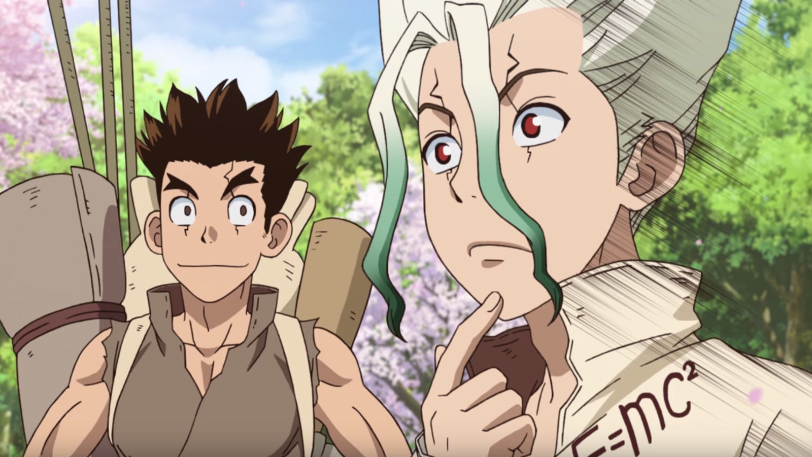 Dr Stone Stream