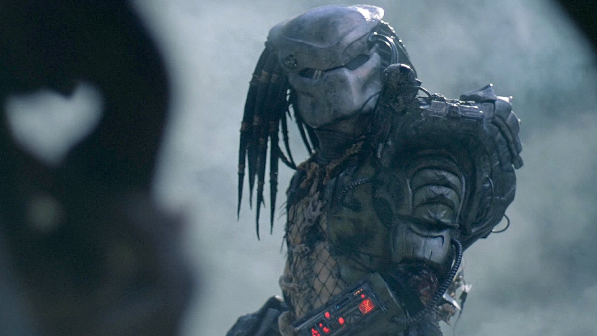 Niemand hat mit diesem Sci-Fi-Crossover gerechnet: Der Predator jagt jetzt eine ikonische Spezies