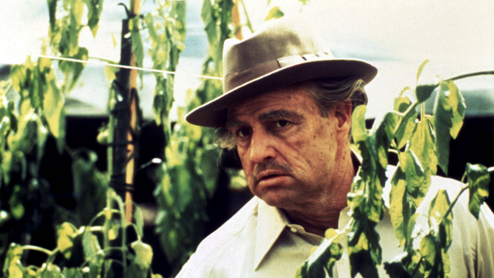 Dienstagabend-im-TV-Der-f-r-viele-beste-Film-aller-Zeiten