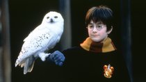 „Harry Potter und der Stein der Weisen“ in Concert 2025: Jetzt Tickets sichern
