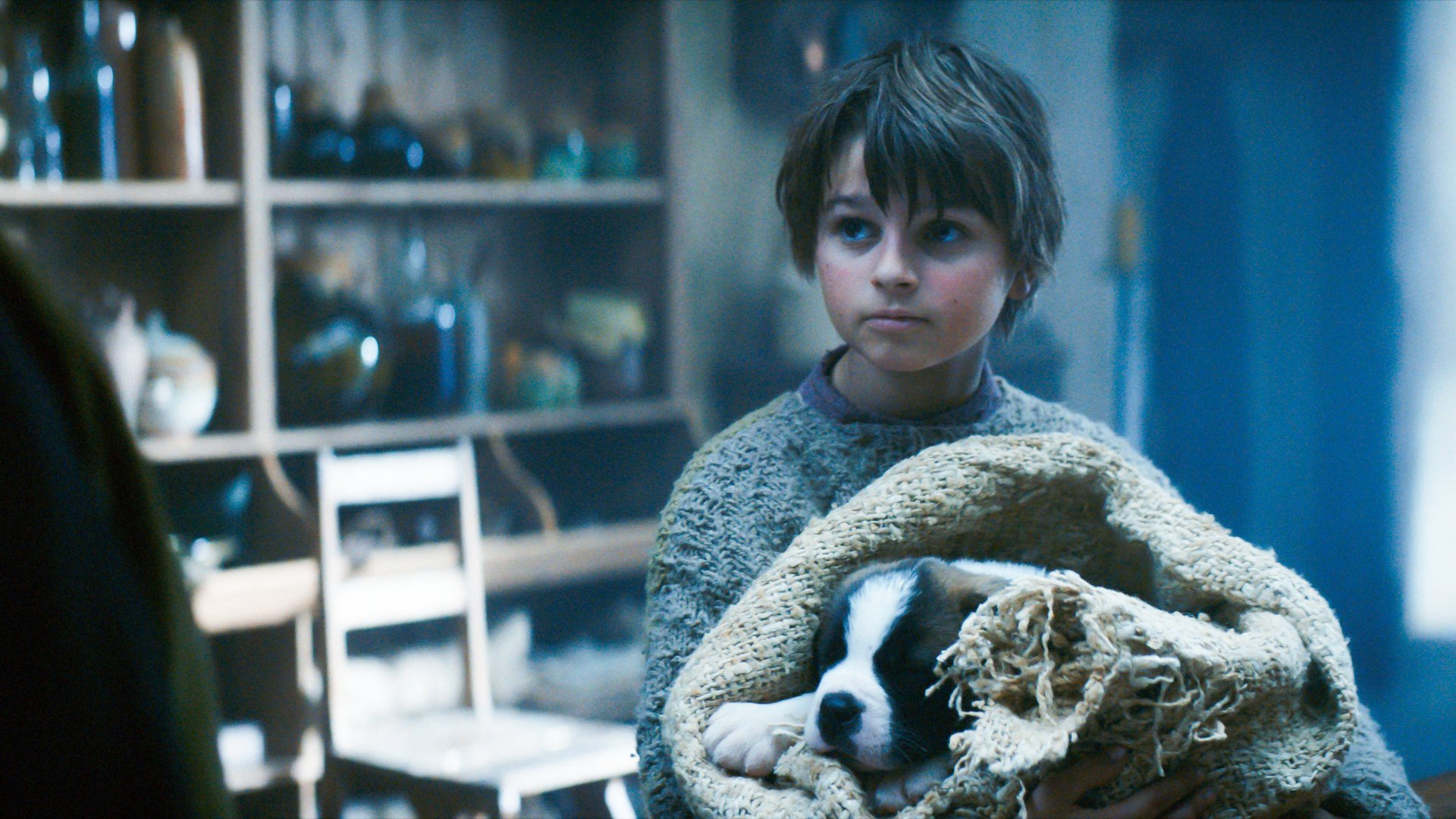 Georg shelters the young Saint Bernard puppy in a wool blanket