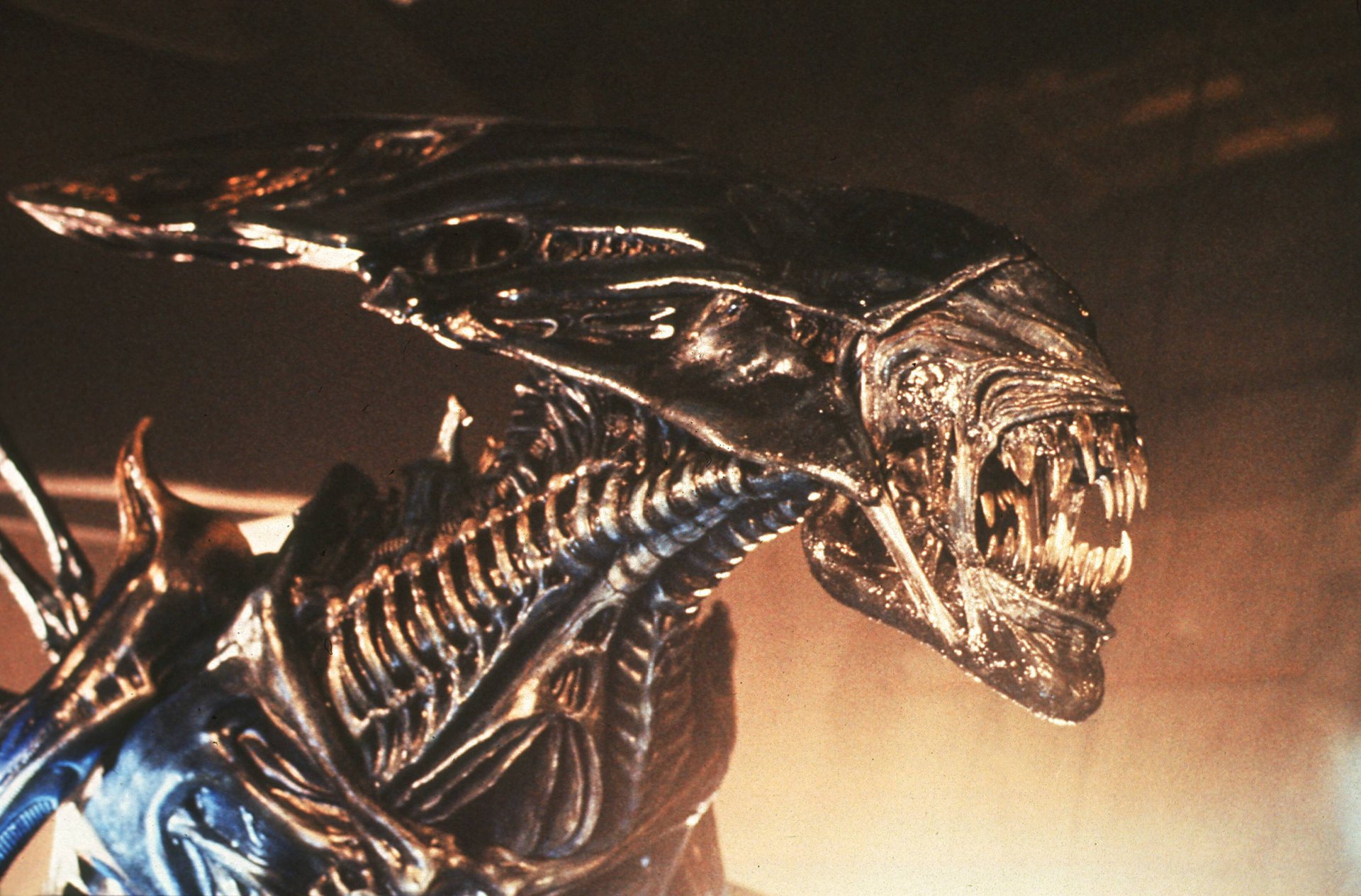 Einer der besten Sci-Fi-Filme aller Zeiten kehrt zurück – und zwar mit einem kontroversen Upgrade