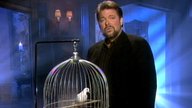 Wahr oder nur erfunden? Testet euer Wissen über „X-Factor: Das Unfassbare“!