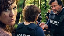 „Tatort: Die große Angst“ (Episode 1297): Kritik