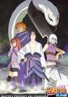 Poster Naruto Shippuden Staffel 6
