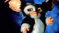 Hoffnung für "Gremlins"-Fans: Geplante Fortsetzung macht nach 12 Jahren Produktionshölle wichtige Fortschritte