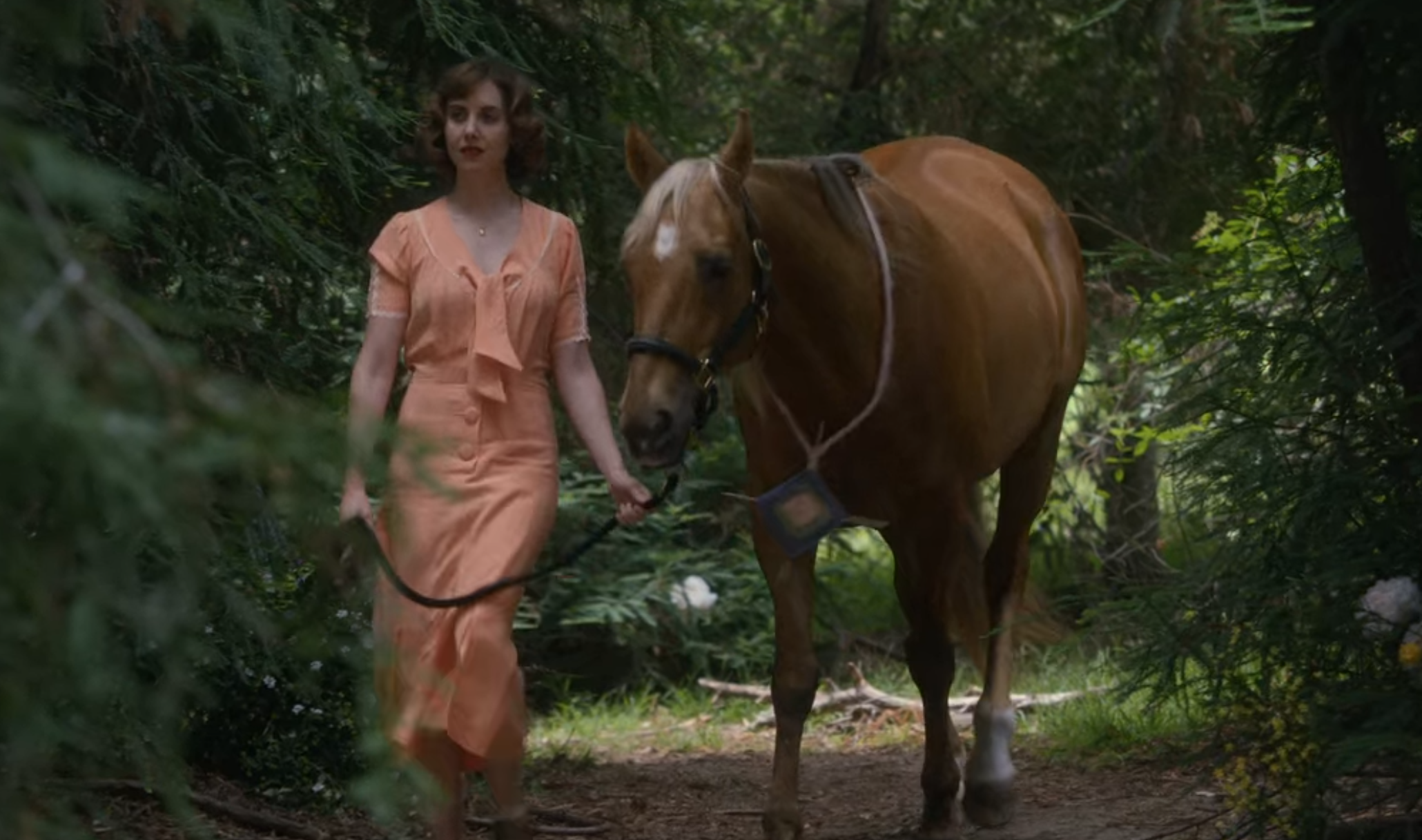 Pferdefilme auf Netflix Streams für einen filmischen Ausritt