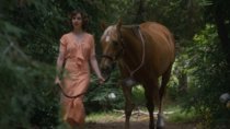 Pferdefilme auf Netflix: Streams für einen filmischen Ausritt