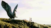 „Eragon“-Bücher-Reihenfolge: Die Bücher und Verfilmungen im Überblick 