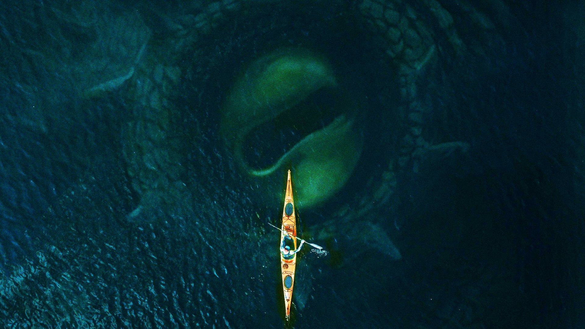 Geh-weg-mit-deinem-Meg-Jason-Statham-Dieser-Horror-Trailer-zeigt-das-furchterregendere-Ungeheuer