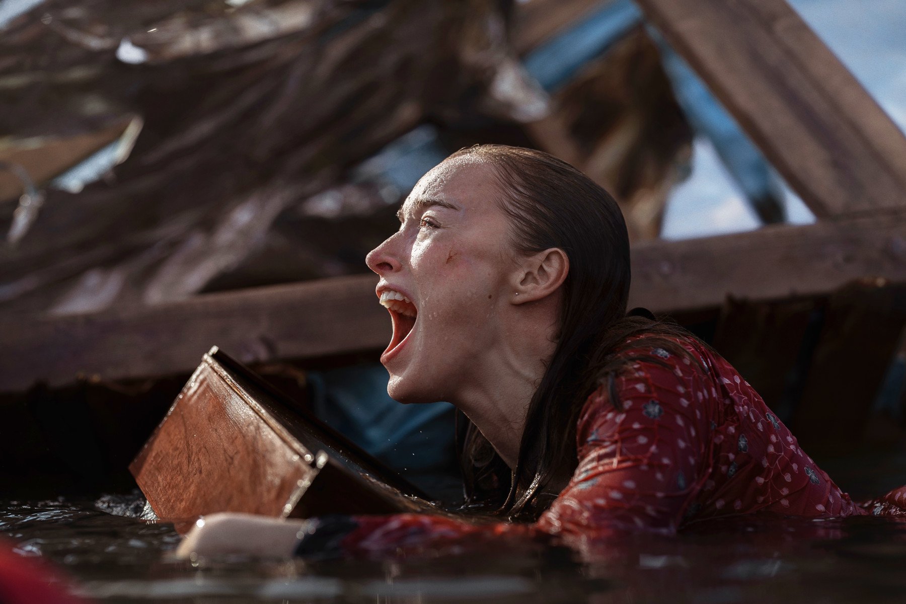 „Ich werde das sowas von schauen“: Erster Horror-Trailer zum Netflix-Schocker mit „Bridgerton“-Star verspricht einen wilden Ritt 7725722810b987c901def0b796 ZmMgODJmYzhmMjVmZmZmIDE5MjAgMAMyOTc1MjA4OWQwOQ==