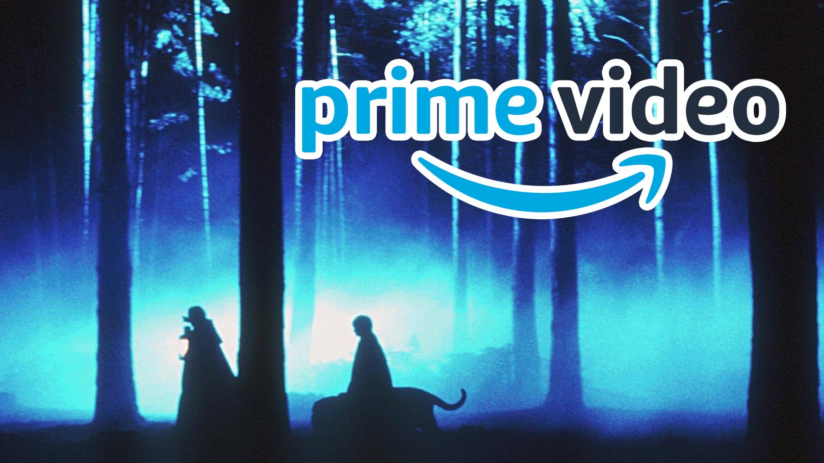 Amazon Prime Video Harry Potter 1 Stein der Weisen