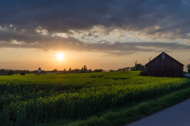 Öland ist die perfekte Kulisse für emotionale Liebesgeschichten. Öland ist die perfekte Kulisse für emotionale Liebesgeschichten.