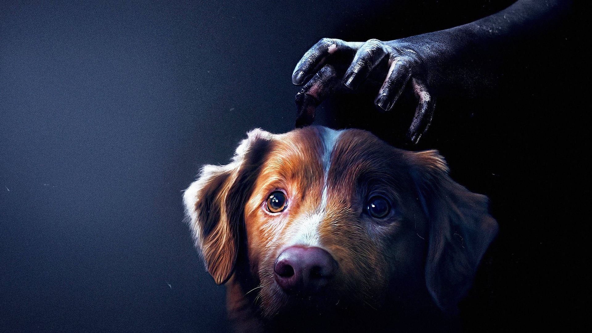 -Derart-in-Schockstarre-versetzt-dass-ich-Kieferschmerzen-versp-rte-Horror-Geheimtipp-brilliert-aktuell-in-den-Top-5-der-Streaming-Charts-bei-HBO-Max