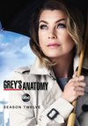 Poster Grey's Anatomy Staffel 12