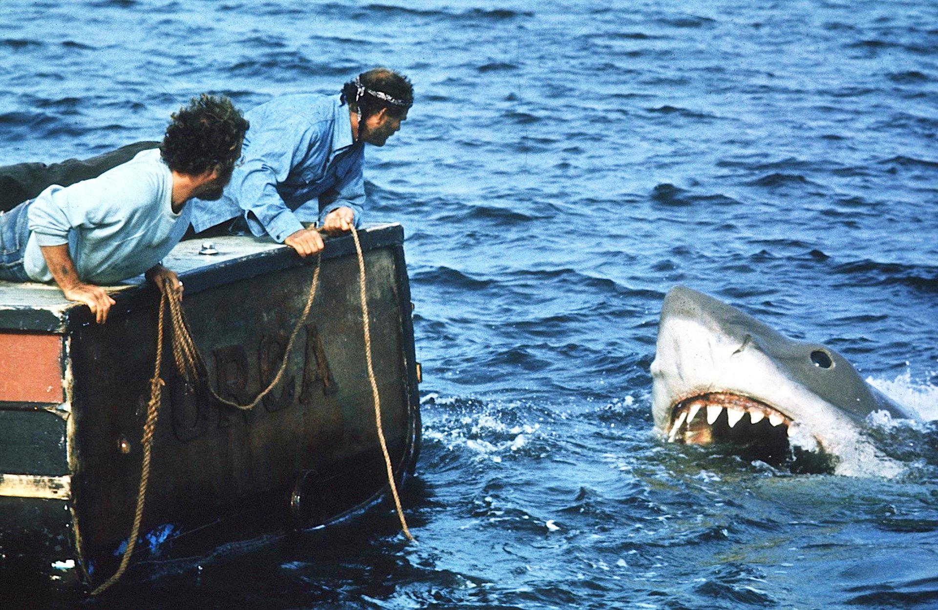 Was ist mit „Der Weiße Hai“? Darum sieht Hollywood-Legende Steven Spielberg darin keinen Horrorfilm