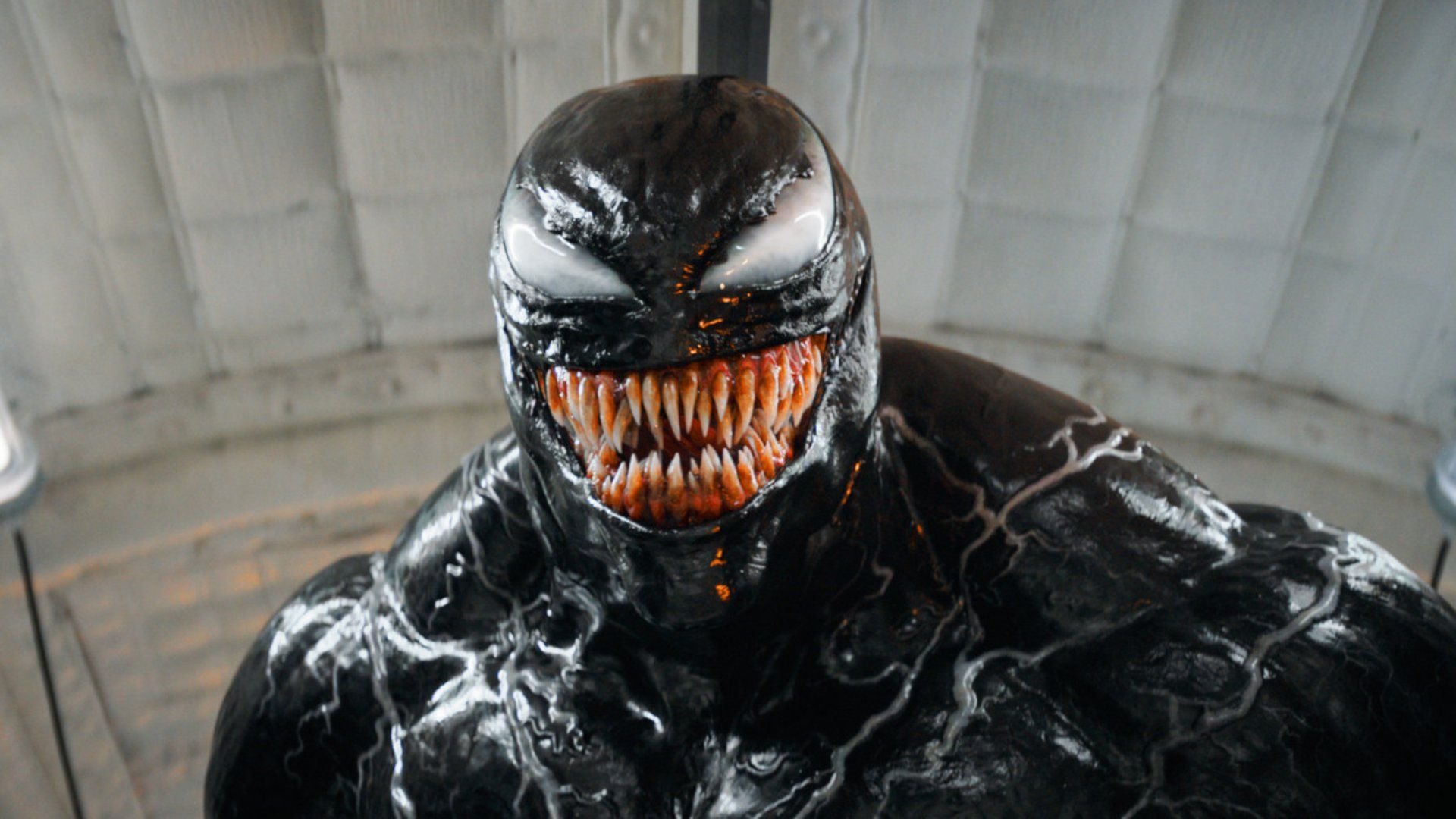 Marvel-Fans wollen nur ein Team-up: Jetzt könnten Spider-Man & Venom doch die Action-Leinwand teilen