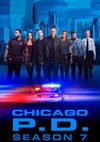 Chicago pd staffel 3 - Die besten Chicago pd staffel 3 auf einen Blick