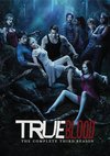 Poster True Blood Staffel 3