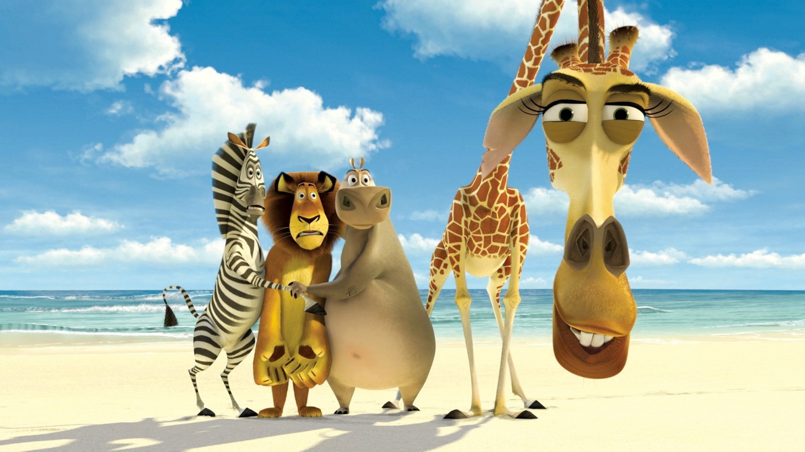 Diese Bedeutungen stecken hinter den Namen der Tiere aus Madagascar.