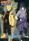 Poster Naruto Shippuden Staffel 19