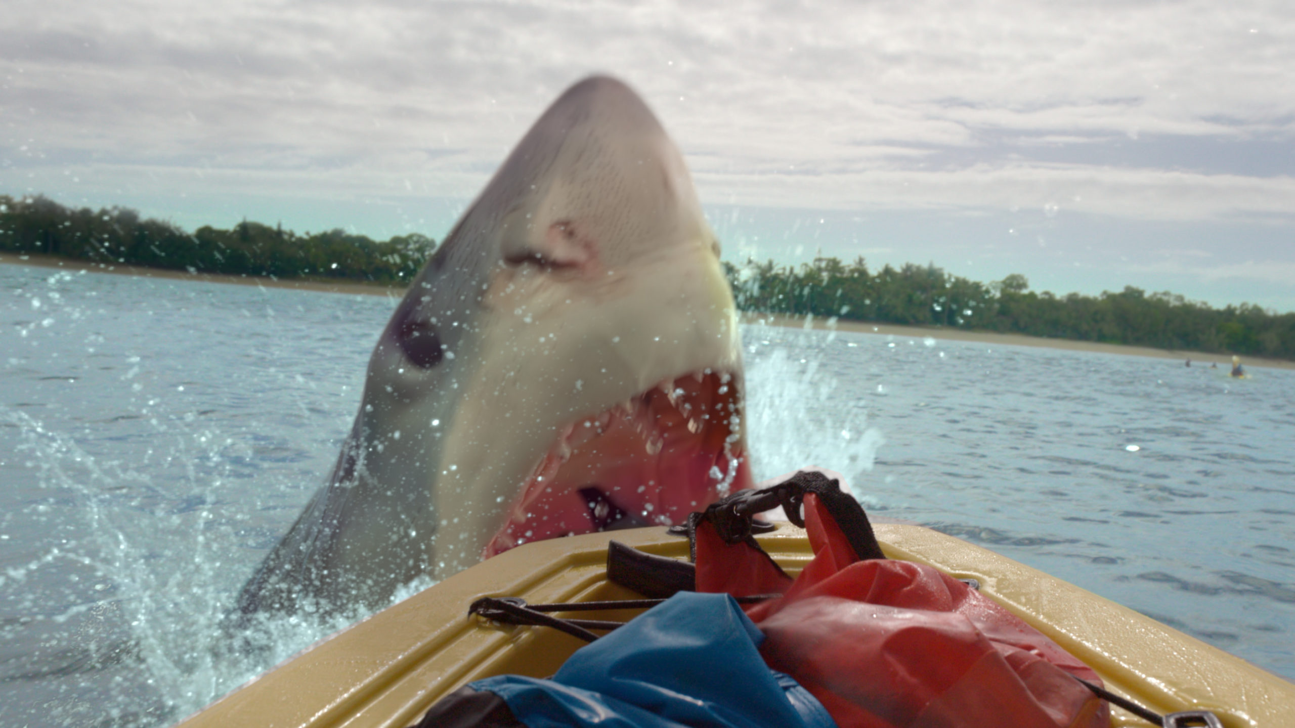 #„The Reef 3“: Bekommt der Hai-Horror eine Fortsetzung?
