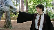 Harry-Potter-Quiz: Nur wahre Potterheads kennen alle 20 magischen Kreaturen aus den Filmen
