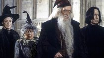 „Eine Geschichte über meine eigene Gier“: „Harry Potter“-Star verrät, wie sich sich ihren MCU-Auftritt vermasselt hat