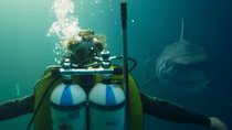 Da fehlt nur Jason Statham: Erster Netflix-Trailer zu blutigem neuen Hai-Horror