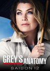 Poster Grey's Anatomy Staffel 12