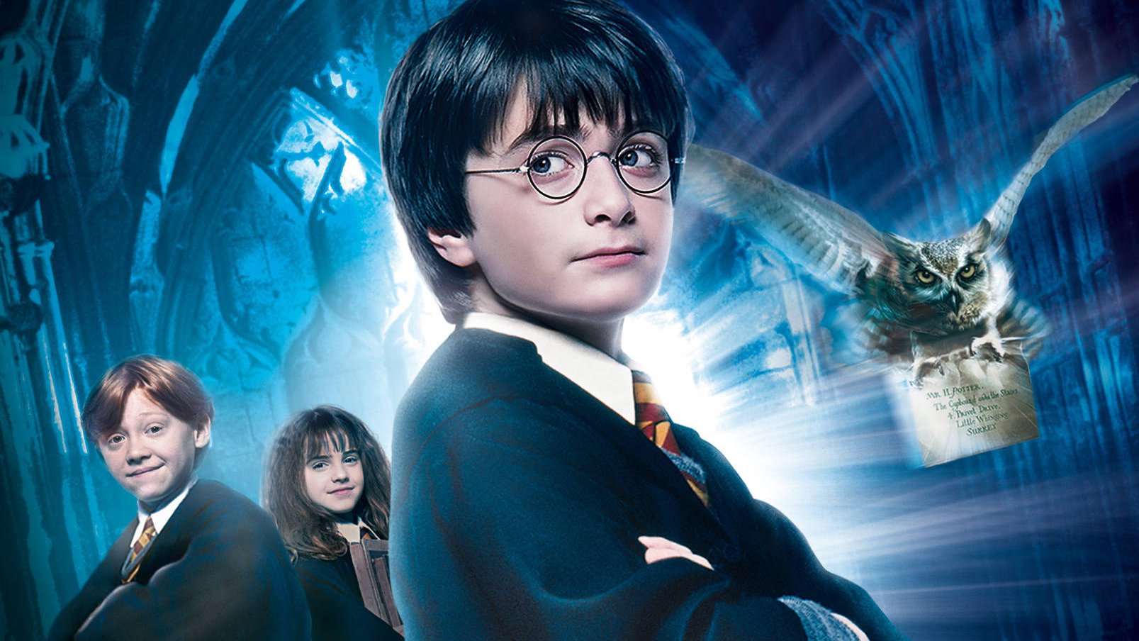 Letzte-Chance-Amazon-verkauft-Harry-Potter-Adventskalender-mit-ber-hmten-Bohnen