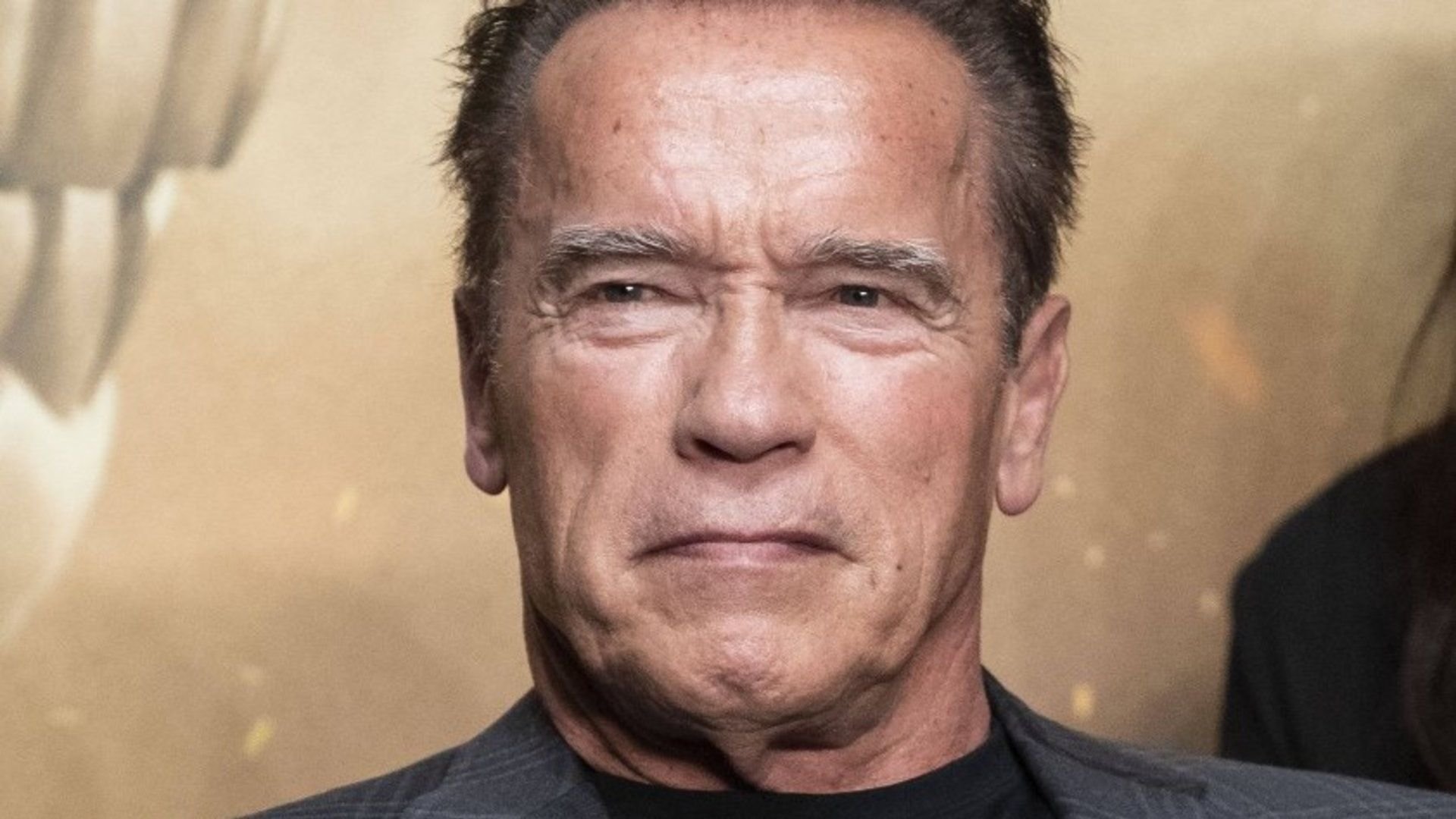 Dienstag im TV: Knackiger Actionthriller mit Arnold Schwarzenegger, der zu Unrecht in Vergessenheit geraten ist e8e6cff4c2a6988d6144ed8bc9 ZmMgODAwMDgwMDBmZmZmIDE5MjAgMAM0ZWU2ZjI5ZDRkYw==