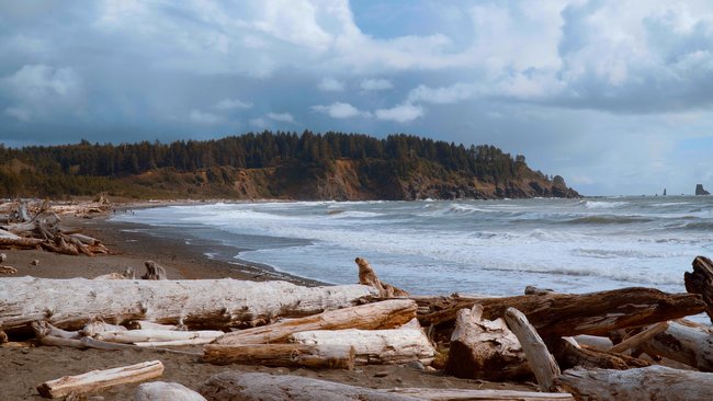 Der Strand in La Push.