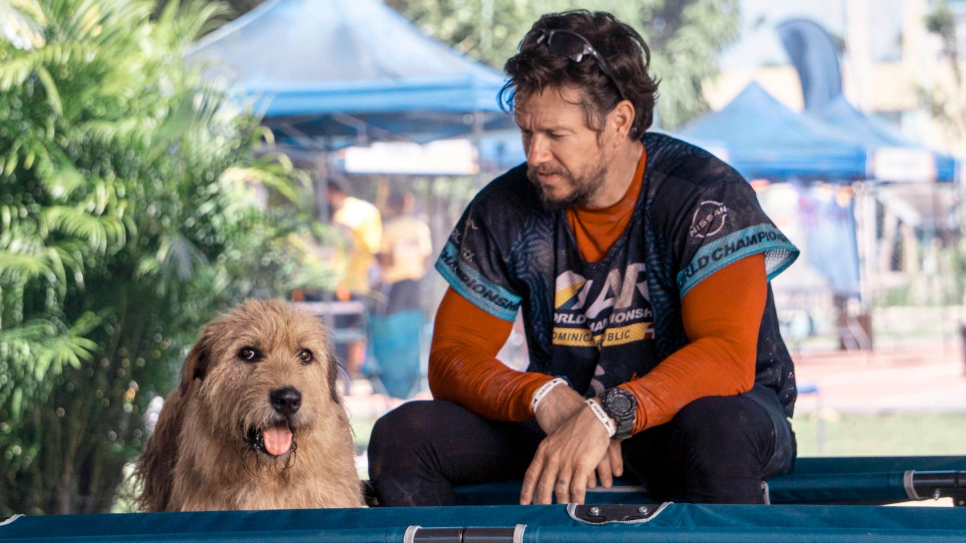 „Unglaublich emotional“: Einen der besten Filme mit Mark Wahlberg gibt es gratis in der ZDF-Mediathek