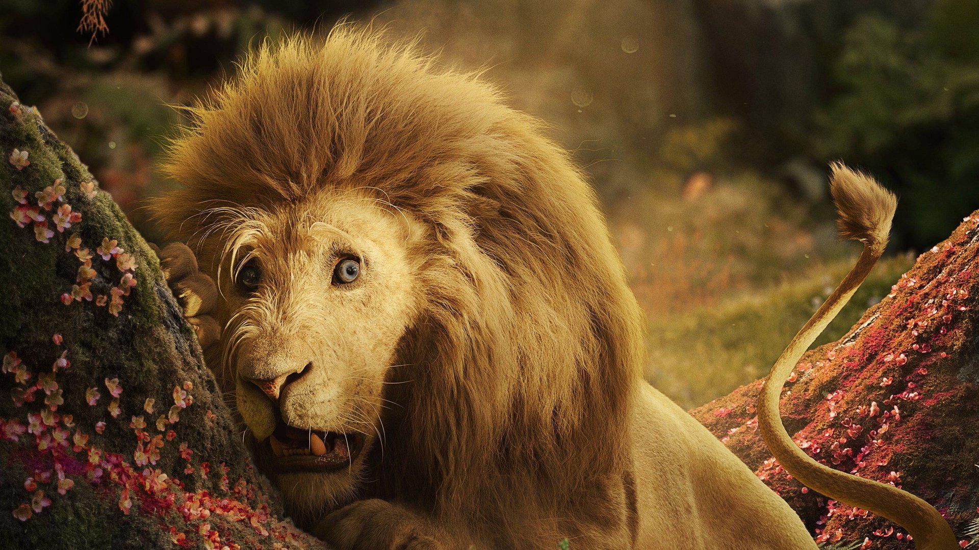 Gr-tes-Fantasy-Highlight-des-Jahres-feiert-grandiosen-Kino-Triumphzug-deklassiert-den-Vorg-nger