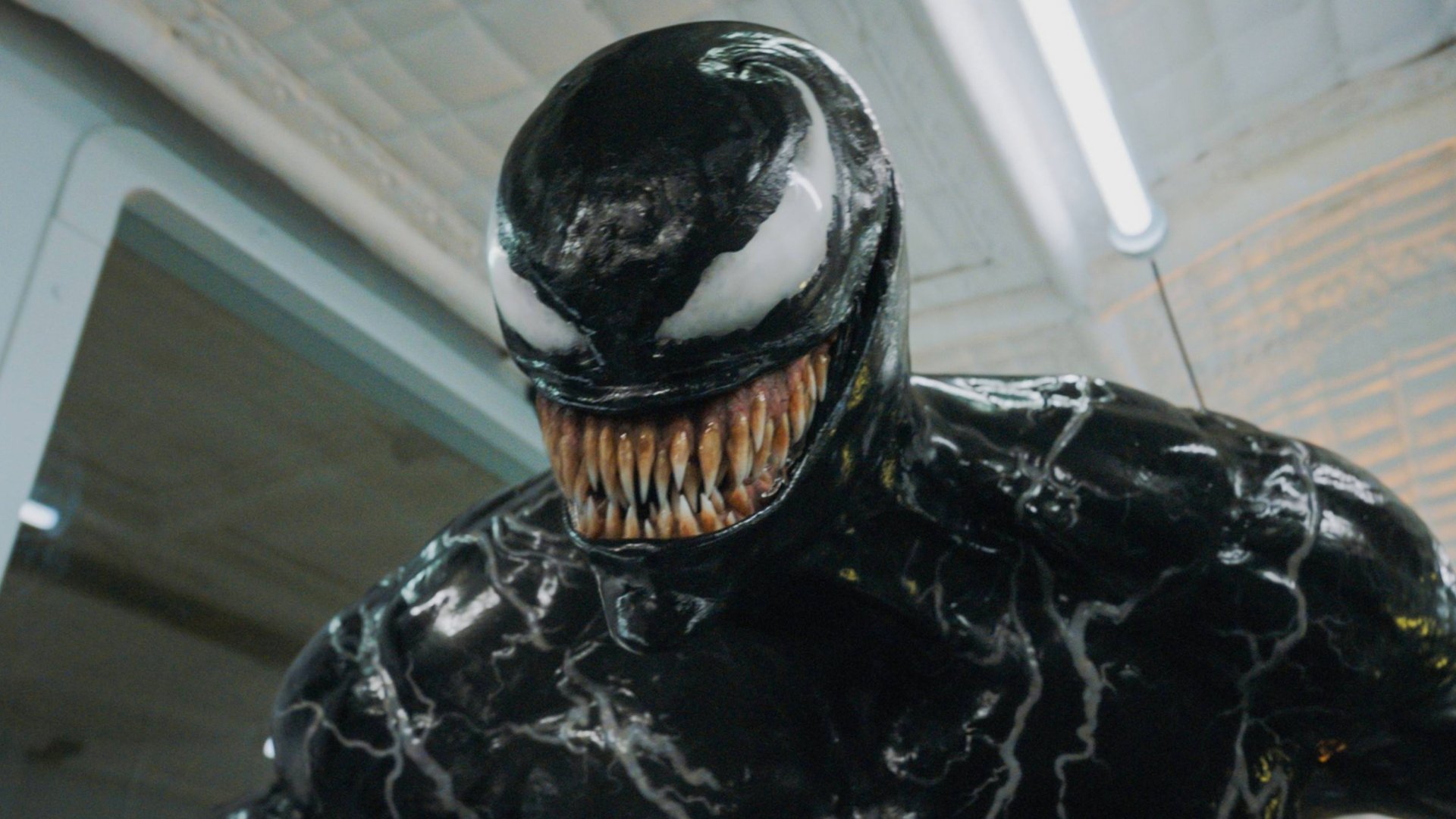 Aus für „Morbius“, „Venom“ & Co.: Sony legt Spider-Man-Spin-offs bis auf weiteres auf Eis 7d6724ecff44d356bf7f582a13 ZmMgODAwMDU1MDRmZmZmIDE5MjAgMAM1Yzc3ZWZkNjc4MQ==