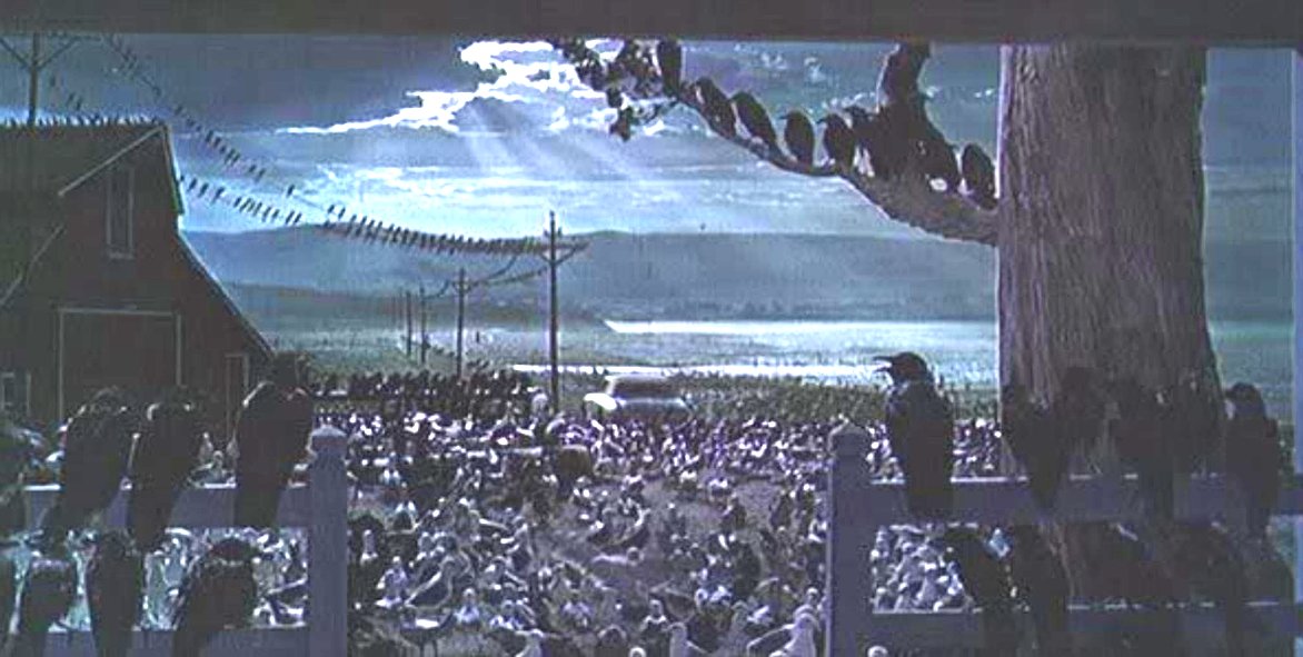 Alfred-Hitchcock-Hit „Die Vögel“ feiert überraschendes Horror-Comeback als Serie