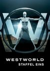 Poster Westworld Staffel 1: Das Labyrinth