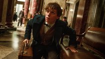 „Phantastische Tierwesen“-Quiz: Könnt ihr mit Newt Scamander mithalten? Testet euer Wissen!