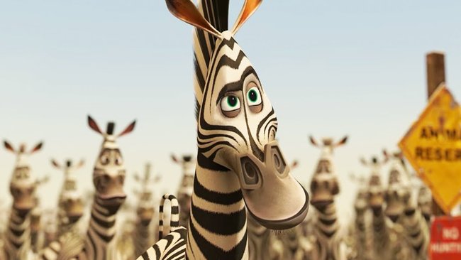 Madagascar Marty Madagascar Marty