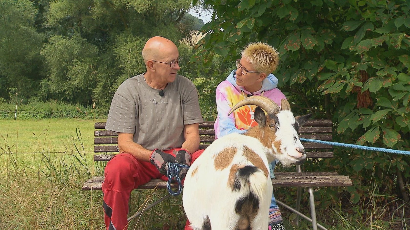 Herbert und Carola machen einen Spaziergang und haben seine Ziegen mitgenommen. 