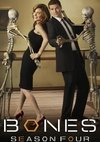 Poster Bones - Die Knochenjägerin Staffel 4